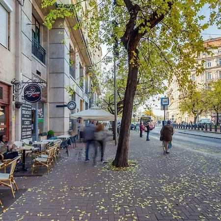 Appartement Location - Modern Luxury